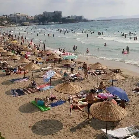 Misa Guzelcamlı